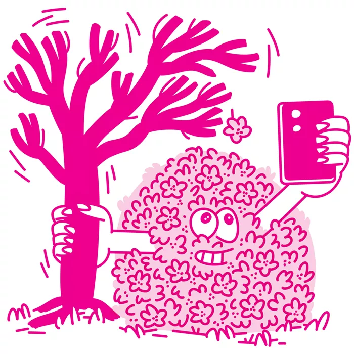 Bad Blossom Behavior